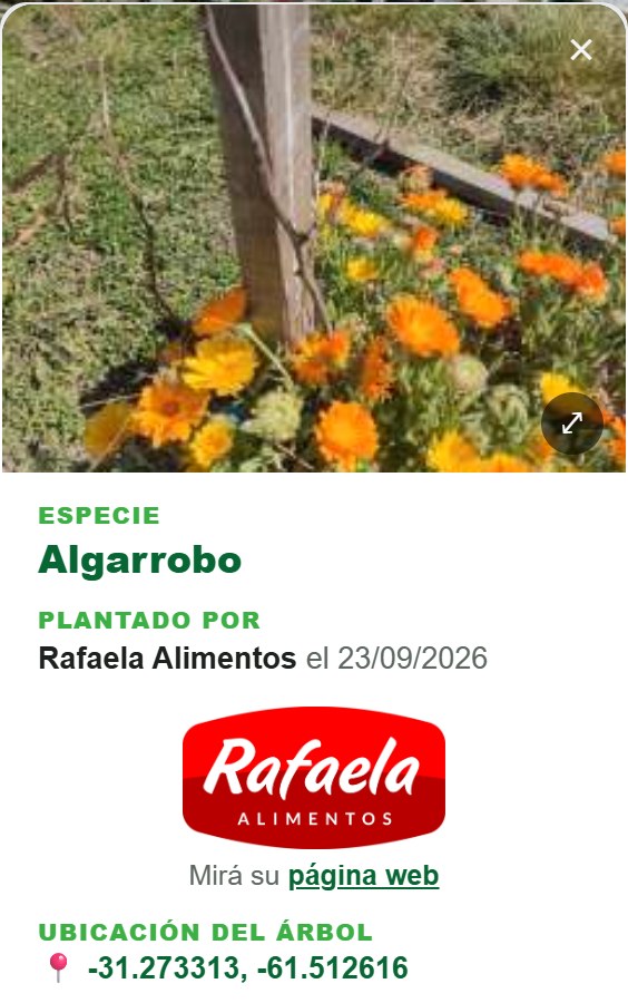 Ficha de un árbol de Rafaela Alimentos en el mapa