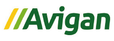 Avigan