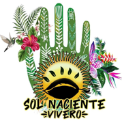 Vivero Sol Naciente